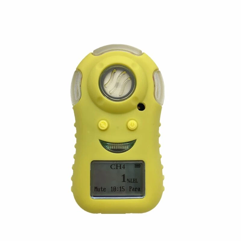 Draagbare waterstof H2-gasdetector