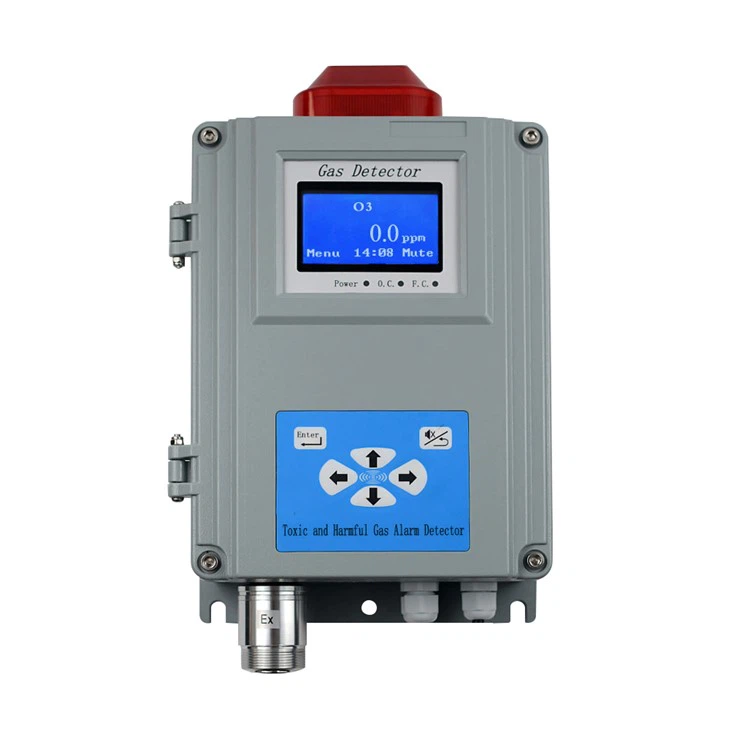 Ozongasmonitor